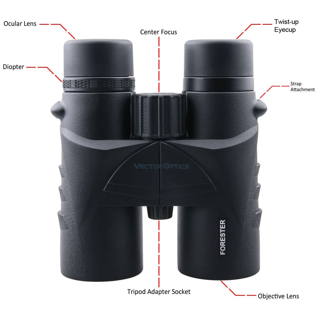 Vector Forester 8x42 Rubber Armoured Binoculars
