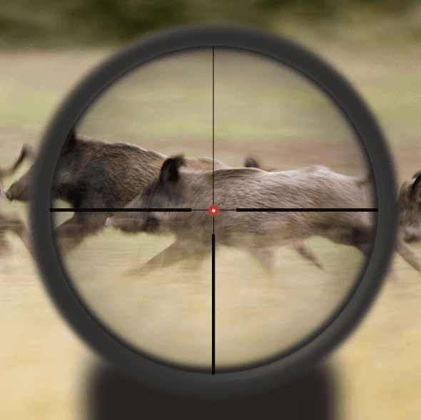 Vector Optics Continental x8 1-8x24 ED LPVO Fiber 30mm Rifle Scope