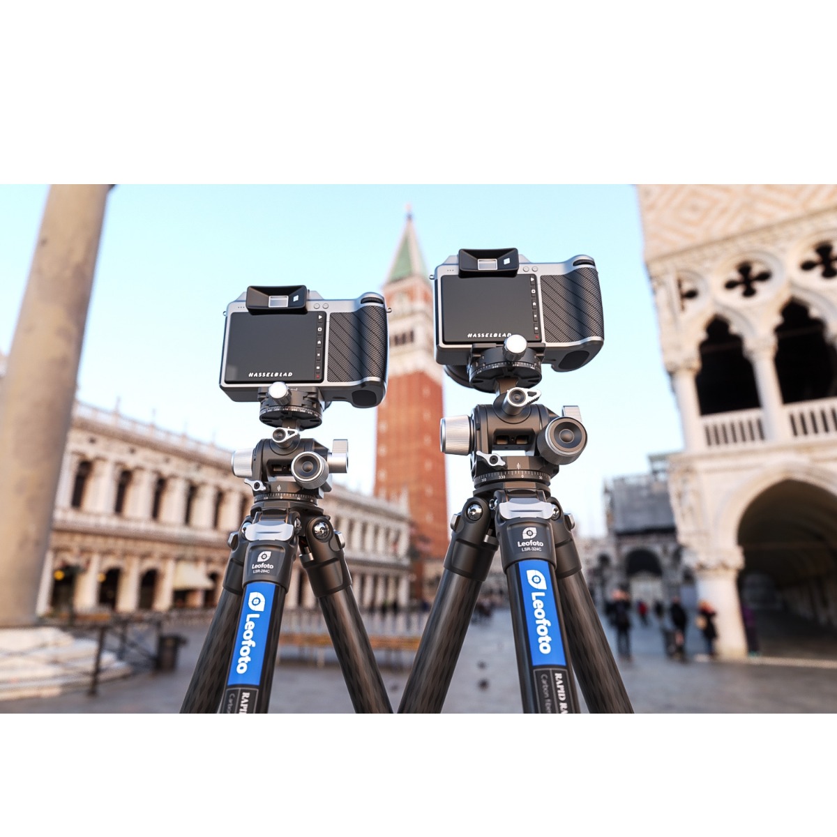 Leofoto G3 3D Geared Ball Head with BPL-50 Quick Release Plate