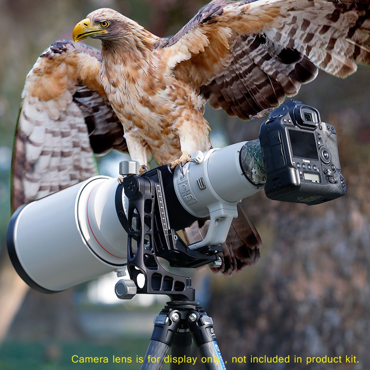 Leofoto Ranger LS-365C Lightweight 10x Layer Carbon Half Ball Levelling Tripod with PG1 Gimbal Head