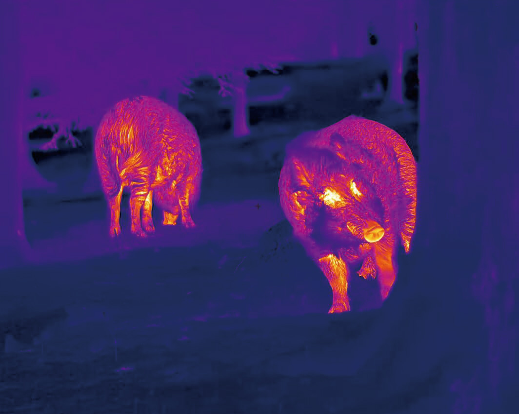 NocPix Lumi H35R Handheld Thermal Monocular with LRF - 35mm 12um 640x512