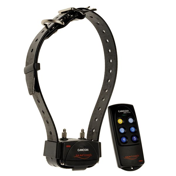 Numaxes CANICOM 200 FIRST Training