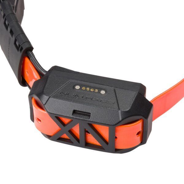 Numaxes CANICOM GPS MINI WITH TRAINING - complete set NEW