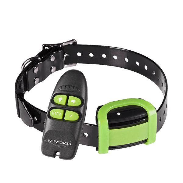 Numaxes CANICOM SOFT Soft Training