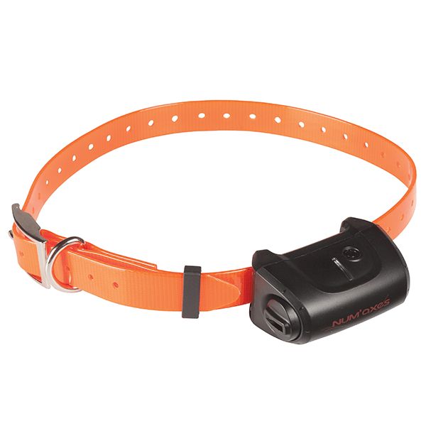 Numaxes PACK CANICOM 5.800 - 2 DOGS