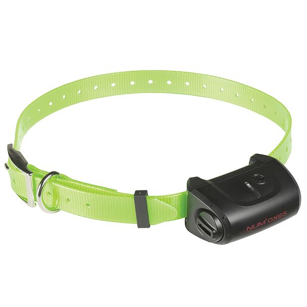 Numaxes PACK CANICOM 5.800 - 2 DOGS