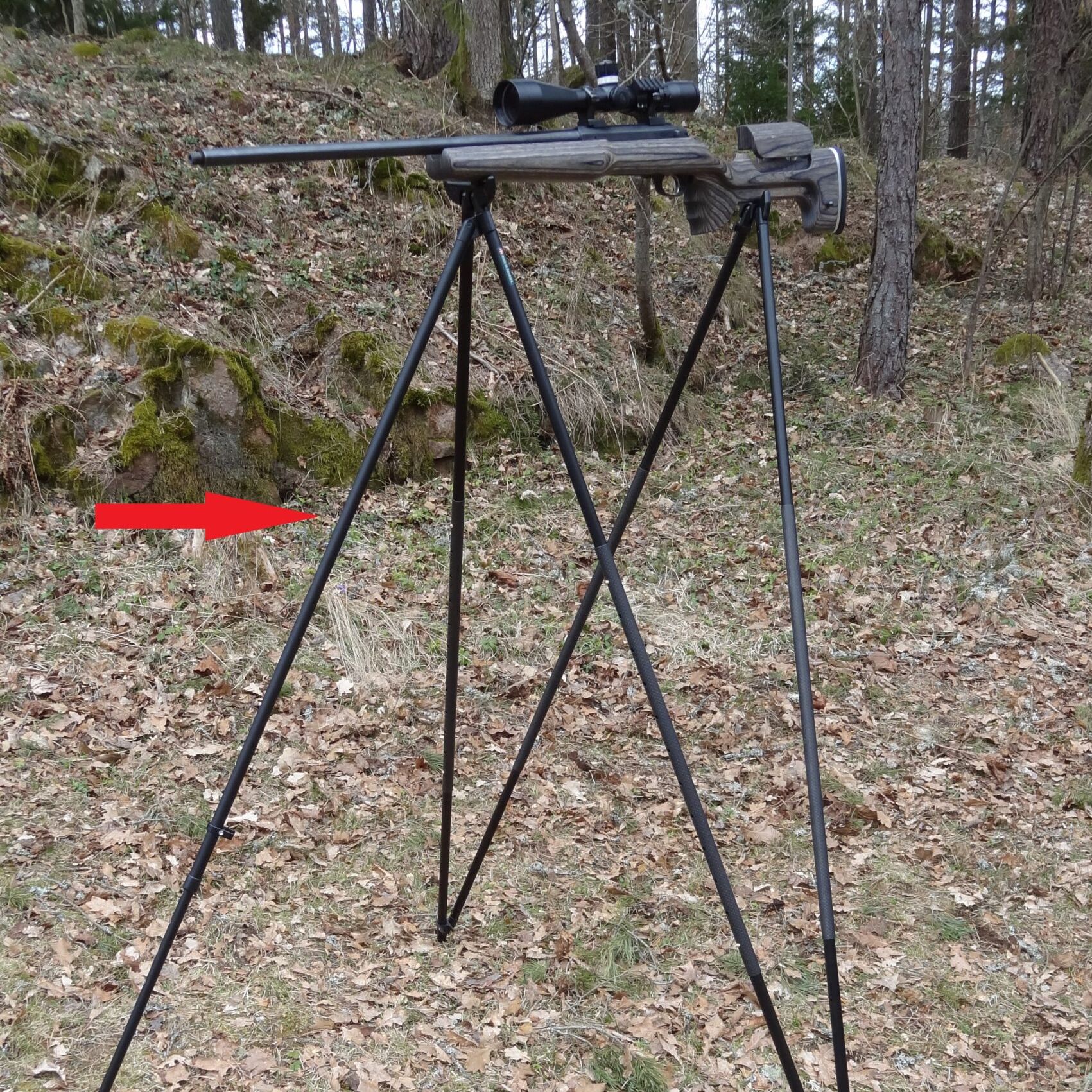 Single Leg Styx Journey +