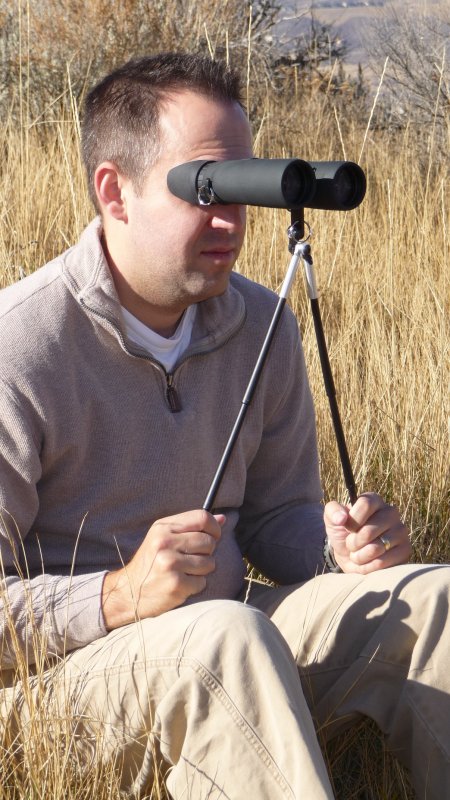 Field Optics Steady Sticks ( Black ) Optics Warehouse