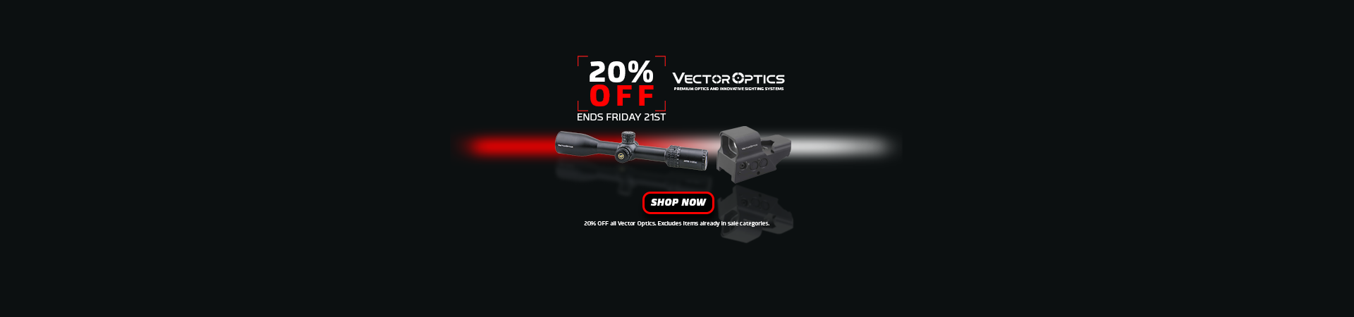 20% Off Vector