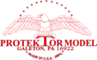 Protektor