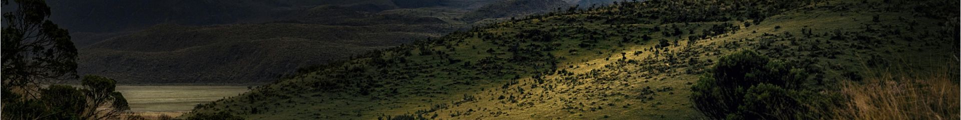 Mounts